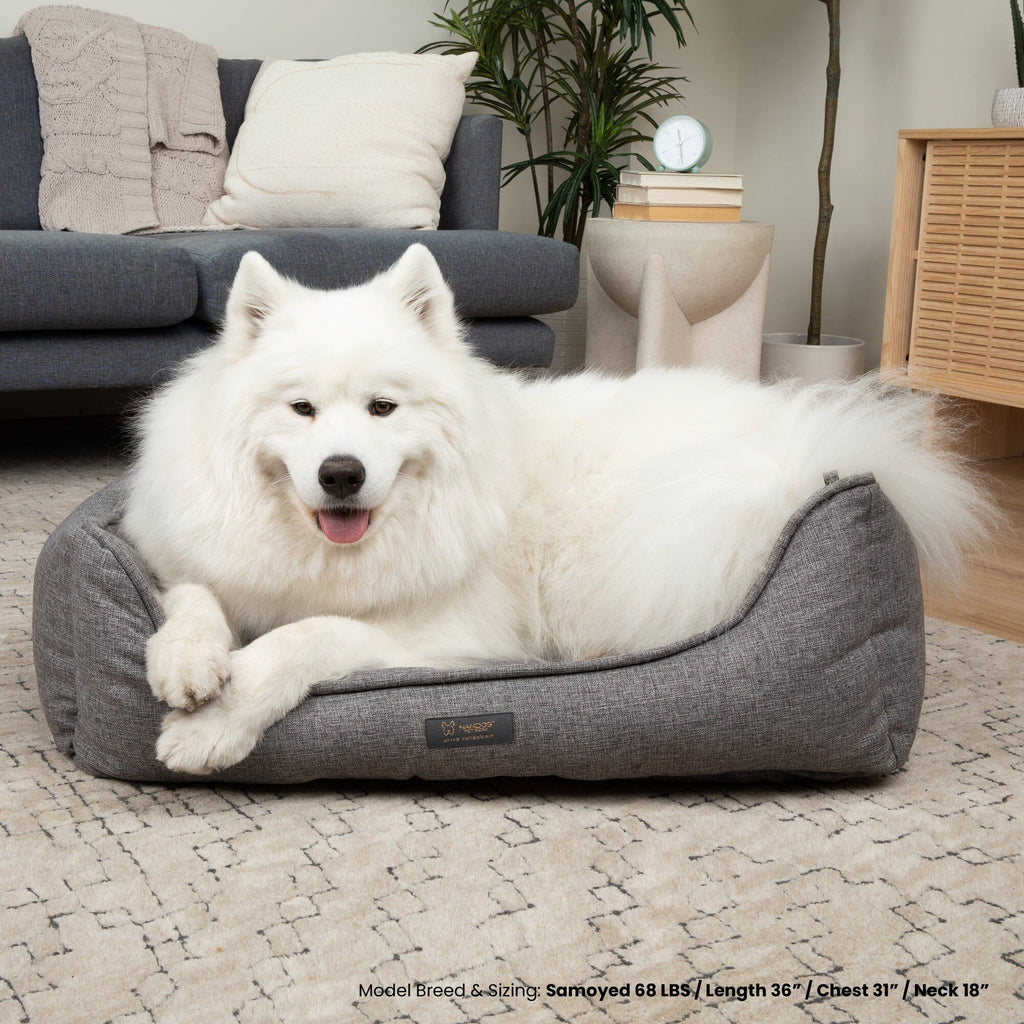 Poplin Large Reversible Dog Bed Gray