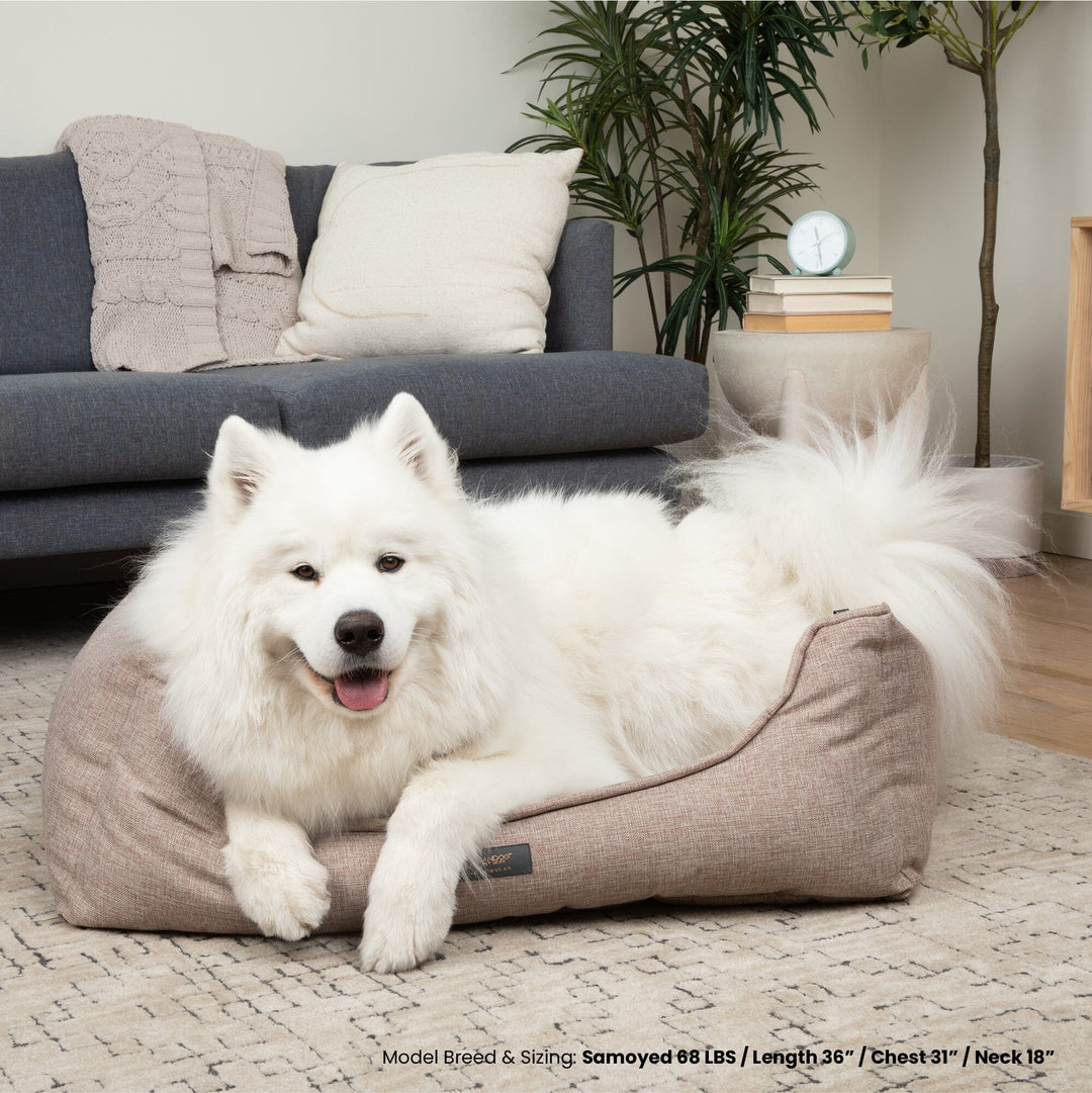 Poplin Large Reversible Dog Bed Tan