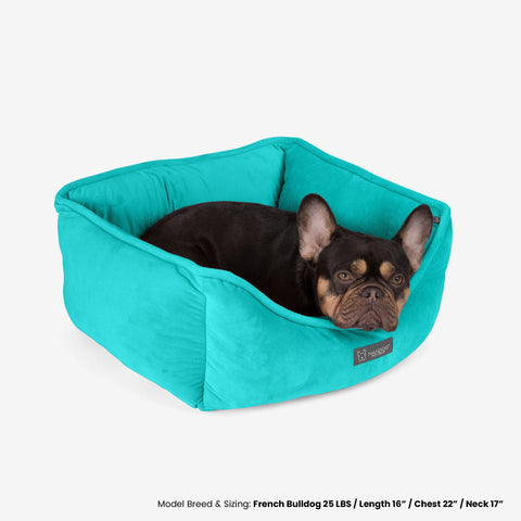 Signature Bed in Aqua