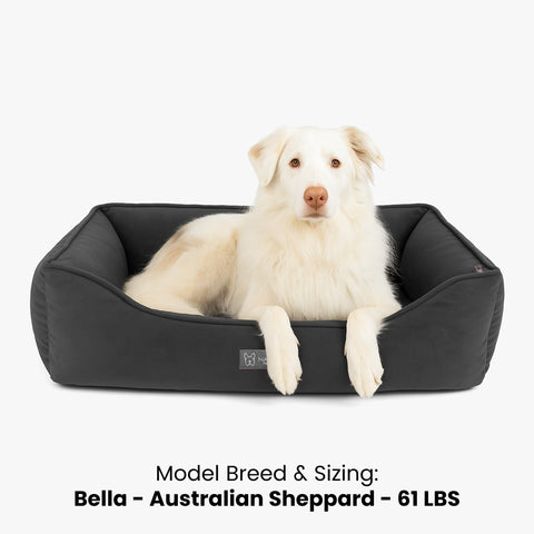Signature Bed in Charcoal Gray