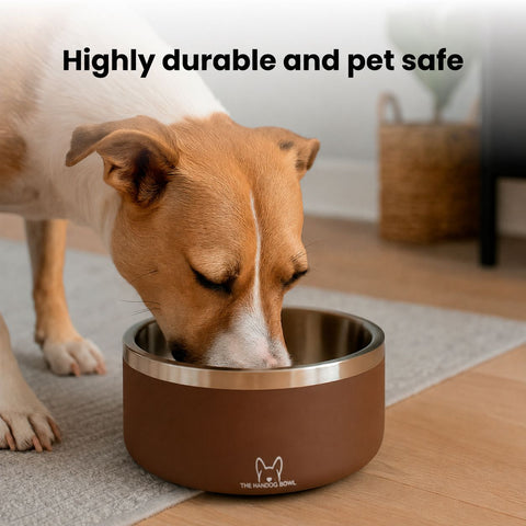 The Bowl Multi-Pack in Terracotta Brown