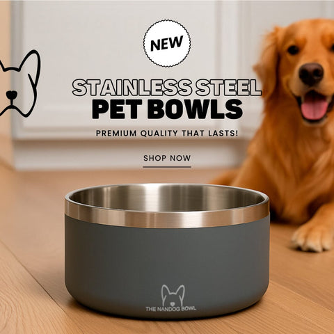 The Bowl Multi-Pack in Ash Gray — Anti-Skid Stainless Steel Dog Bowls