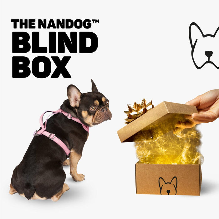 The My BFF Mystery Box