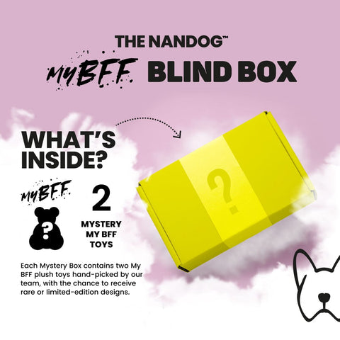 The My BFF Mystery Box