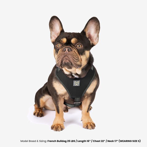 The NANDOG Car Seat Xmas Bundle - Dark Gray