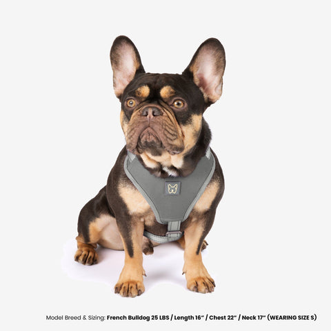 The NANDOG Car Seat Xmas Bundle - Light Gray