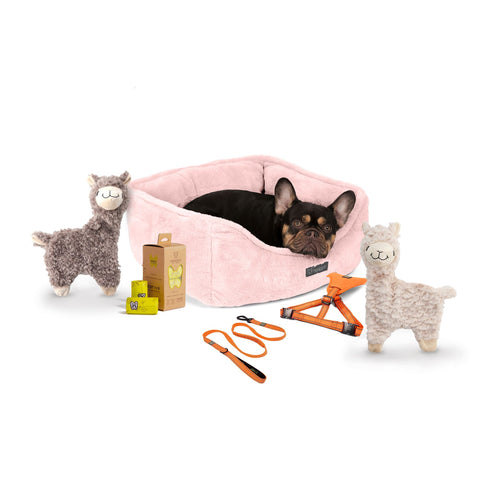 The NANDOG Cloud Dog Bed Bundle - Blush Pink