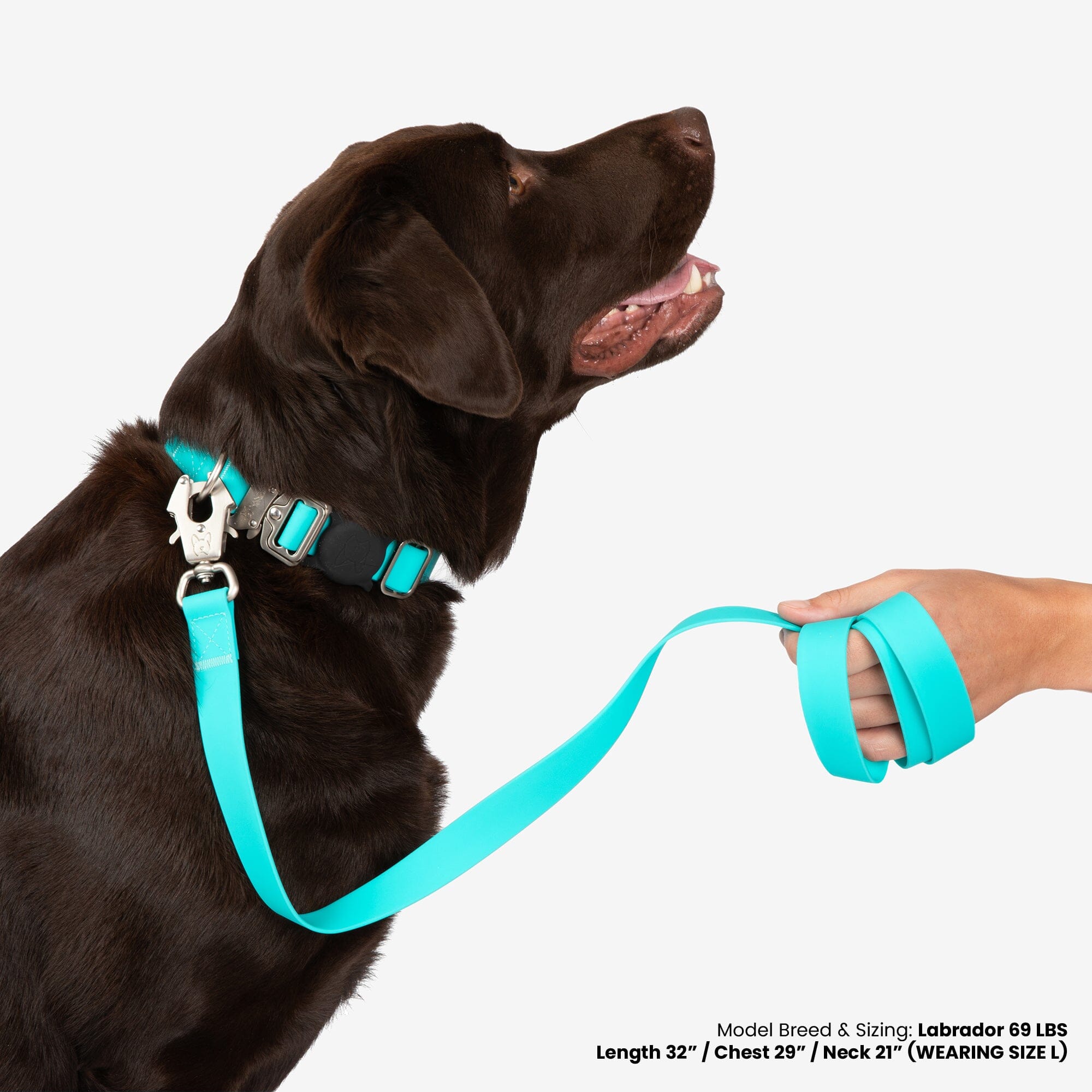 Nandog Waterproof Poly-Flex Dog Collar Aqua Blue, Durable