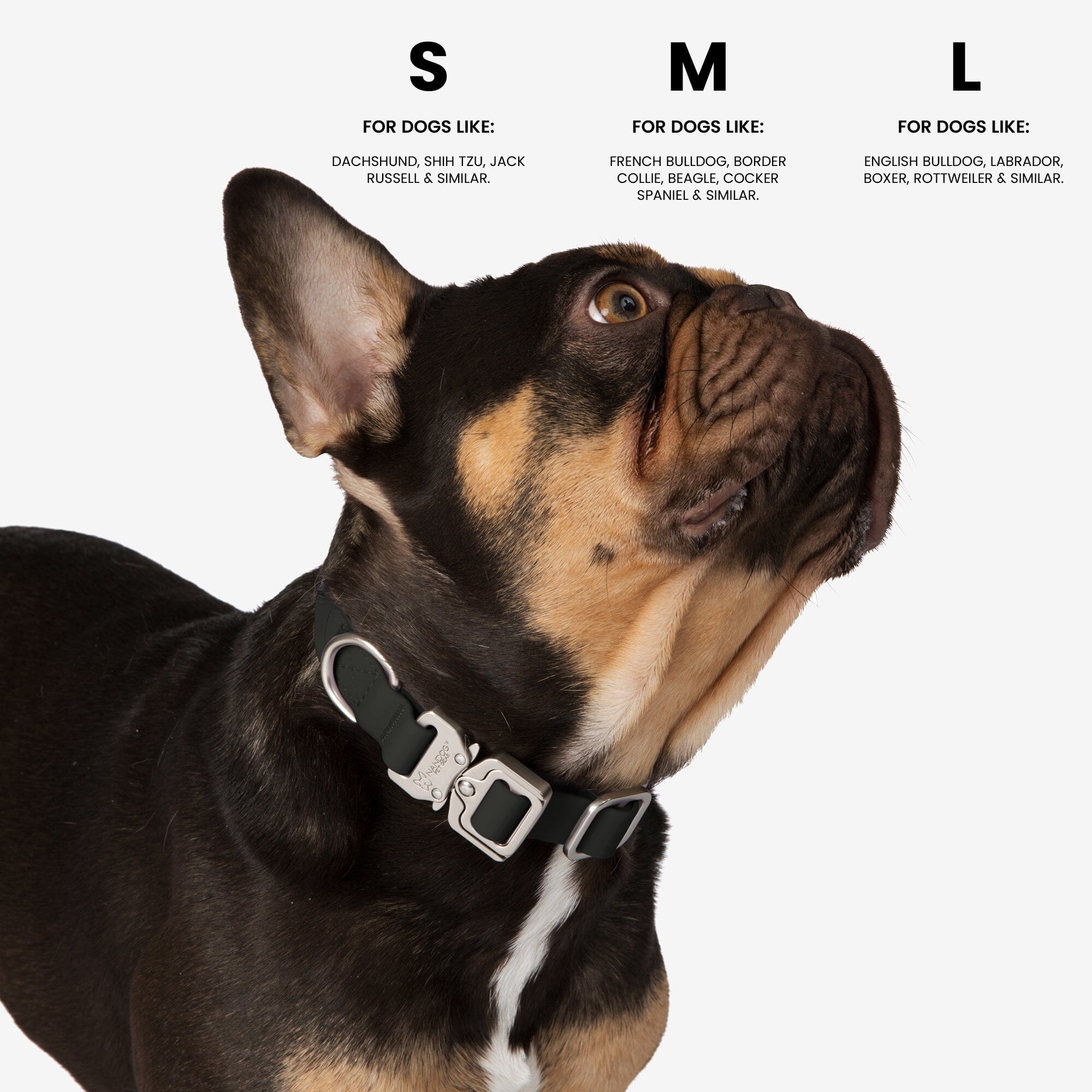 Sporting deals dog collar