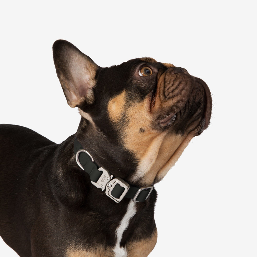 Waterproof Poly-Flex Sport Dog Collar - Black – Nandog Pet Gear™