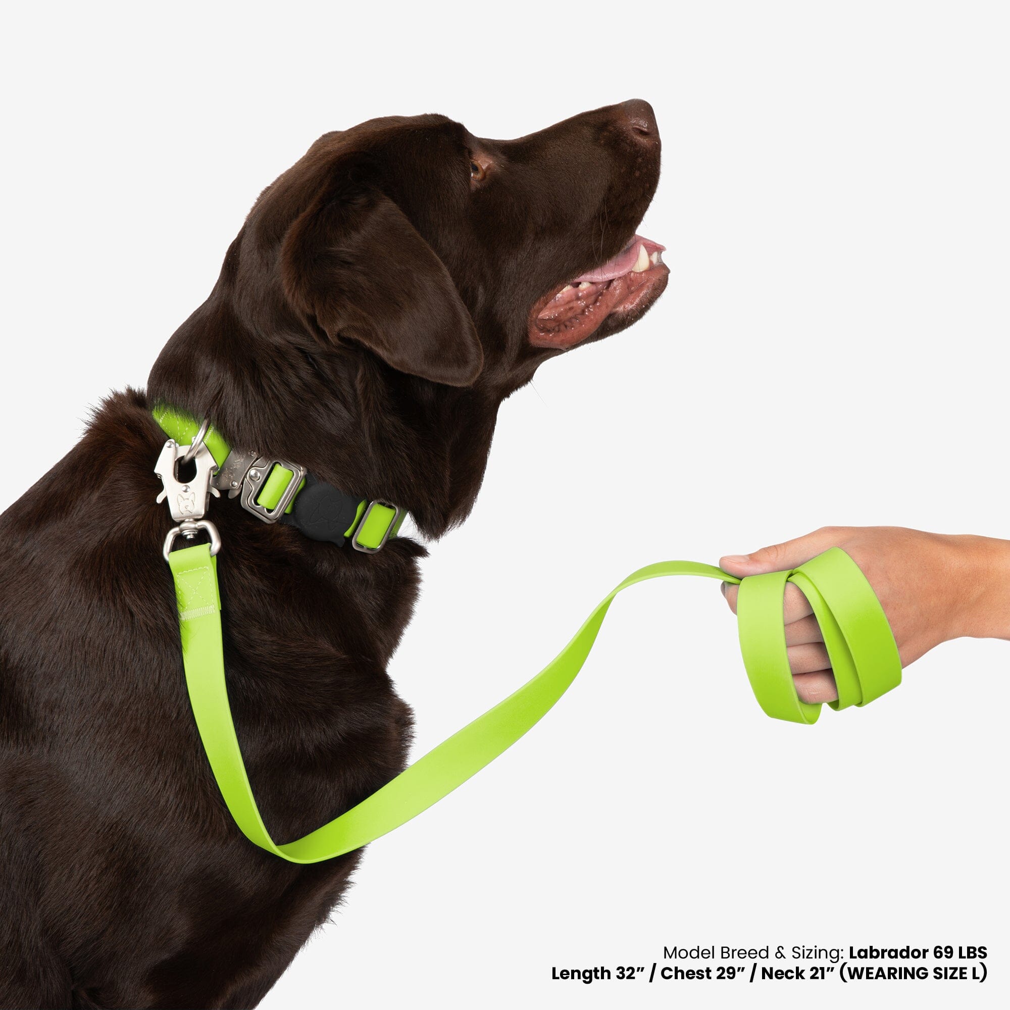 Nandog Waterproof Poly-Flex Dog Collar Neon Green, Durable