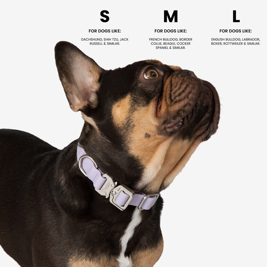 Nandog Waterproof Poly-Flex Dog Collar - Lilac, Durable & Secure