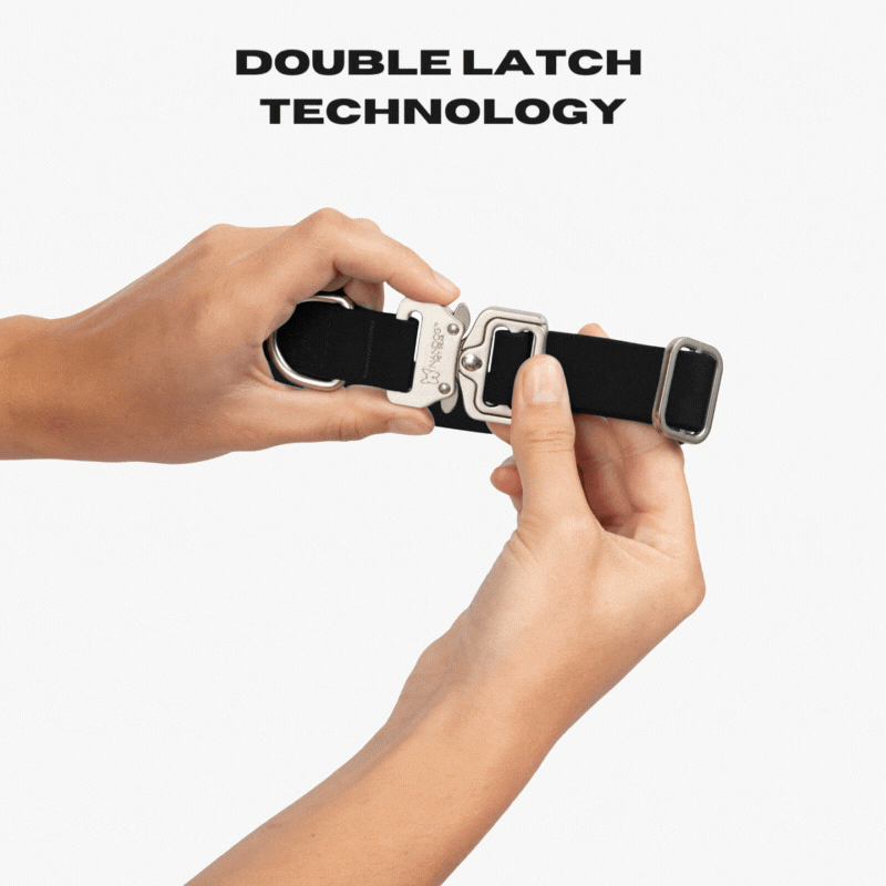 Alyx 2024 dog collar