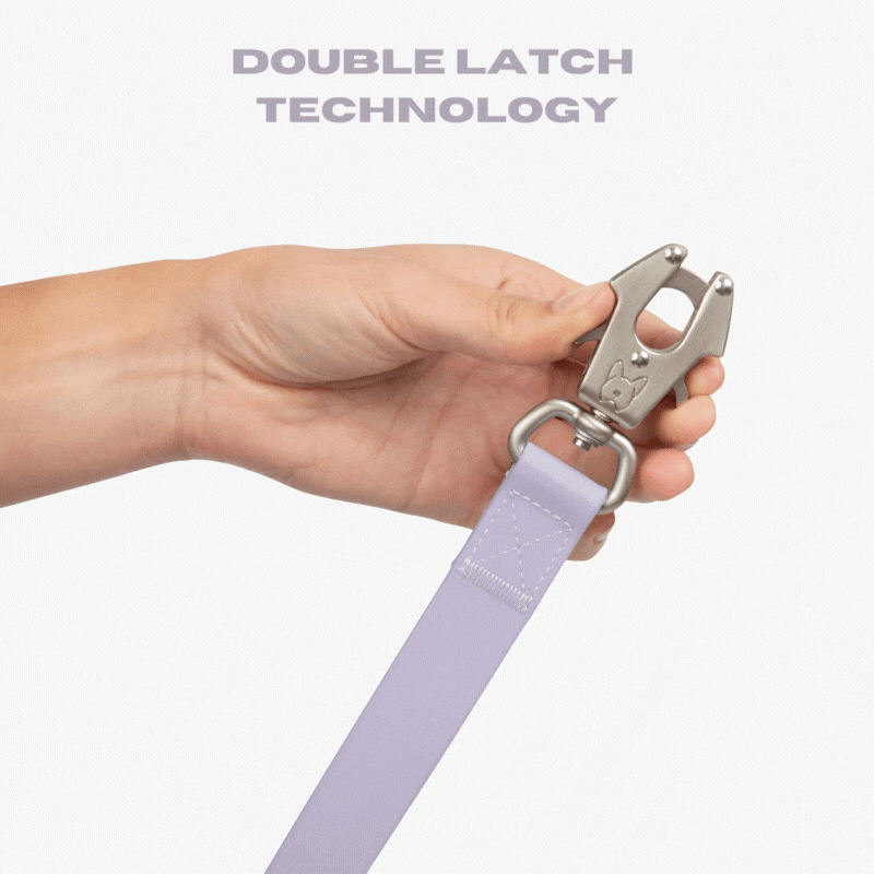 Waterproof Poly-Flex Sport Dog Leash - Purple Lilac