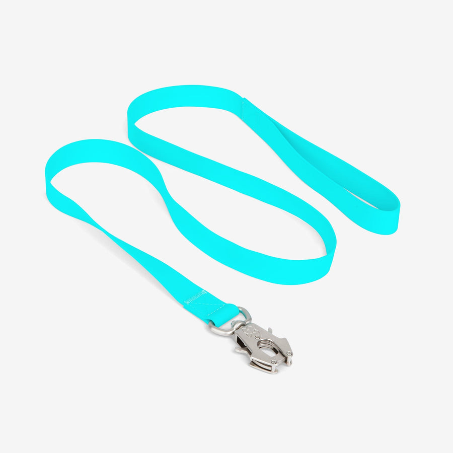 PET 5cm×5m 100cm/loop 蓝星暖菊 Mendota Traffic Leash - Large 1/2 inch – Mendota Pet