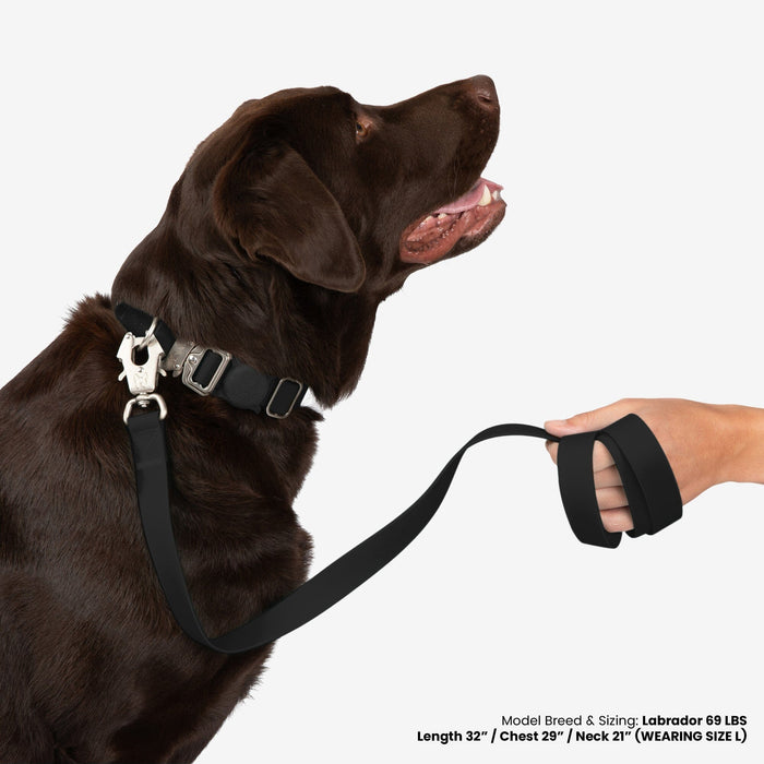 Waterproof Poly-Flex Sport Leash - Black