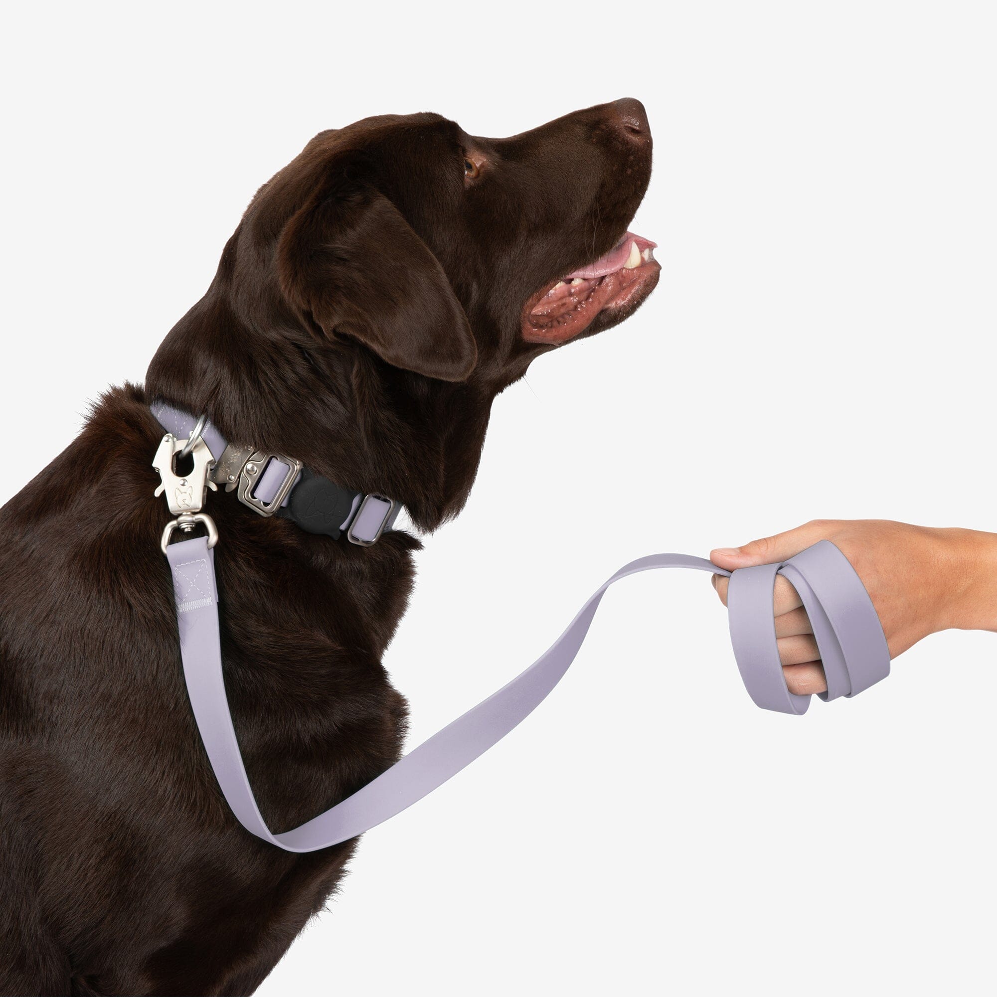 Dog Leash Happy At Heel Harness Pets At Home Help 'Em Up Harness