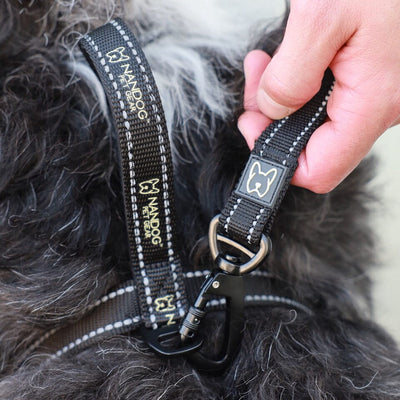 Anti-Push Sport Dog Leash with Neoprene Handle - Black
