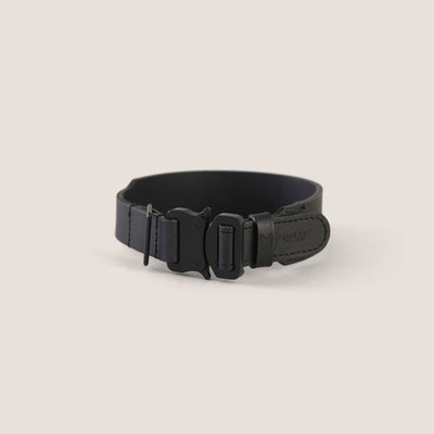 Artesian Leather Dog Collar and Leash Kit (Black)