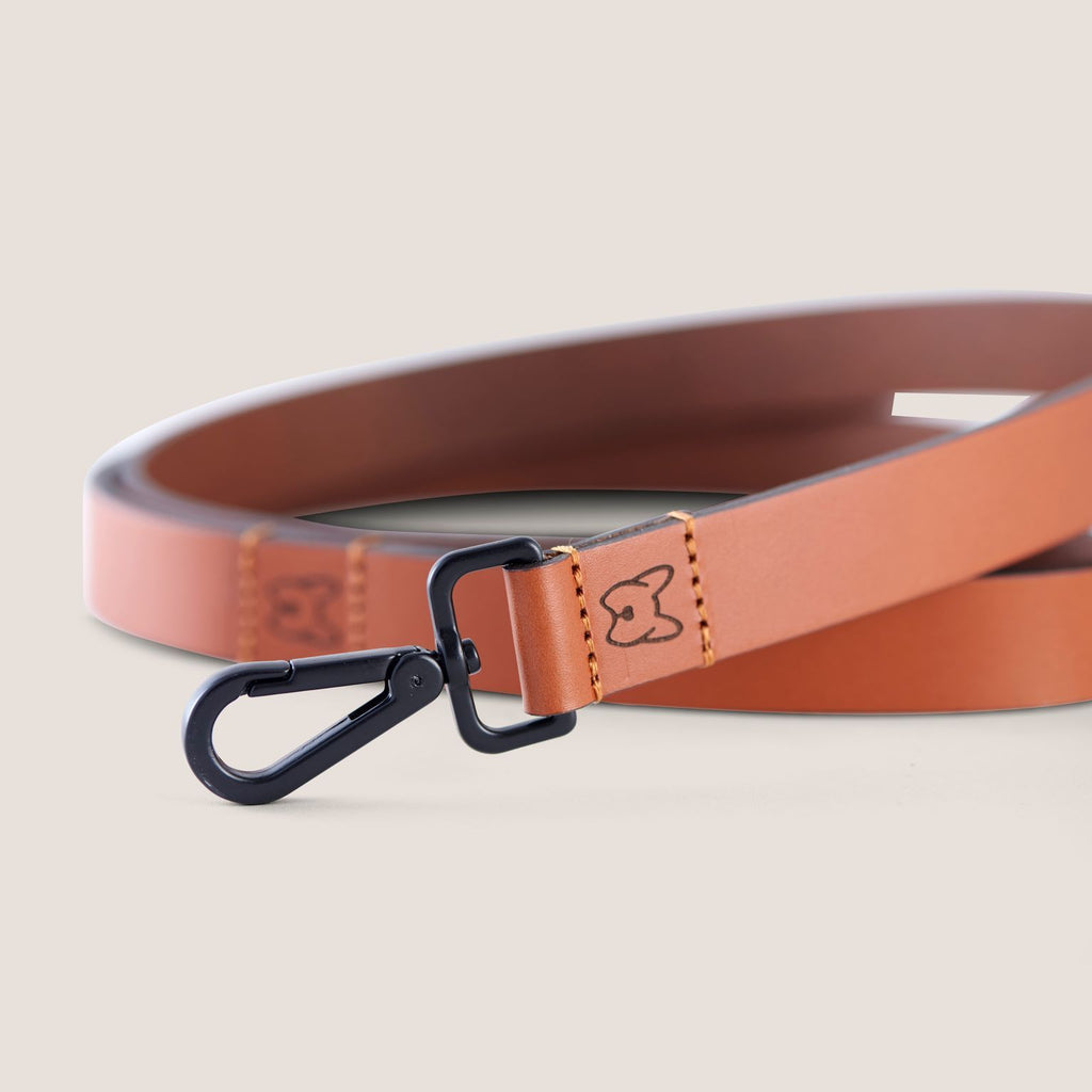 Artesian Leather Dog Collar and Leash Kit (Brown)