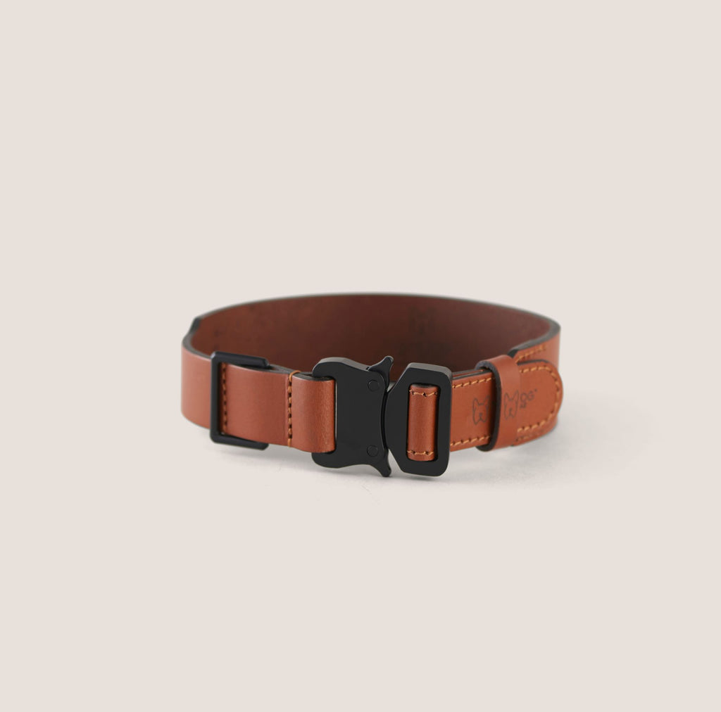 Artesian Leather Dog Collar and Leash Kit (Brown)