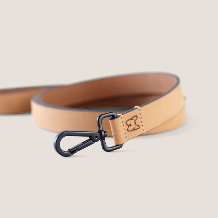 Artesian Leather Dog Collar and Leash Kit (Tan)