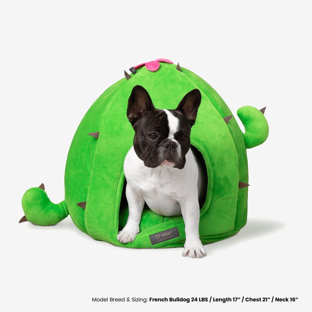 Cactus Dog & Cat Bed Prive Collection