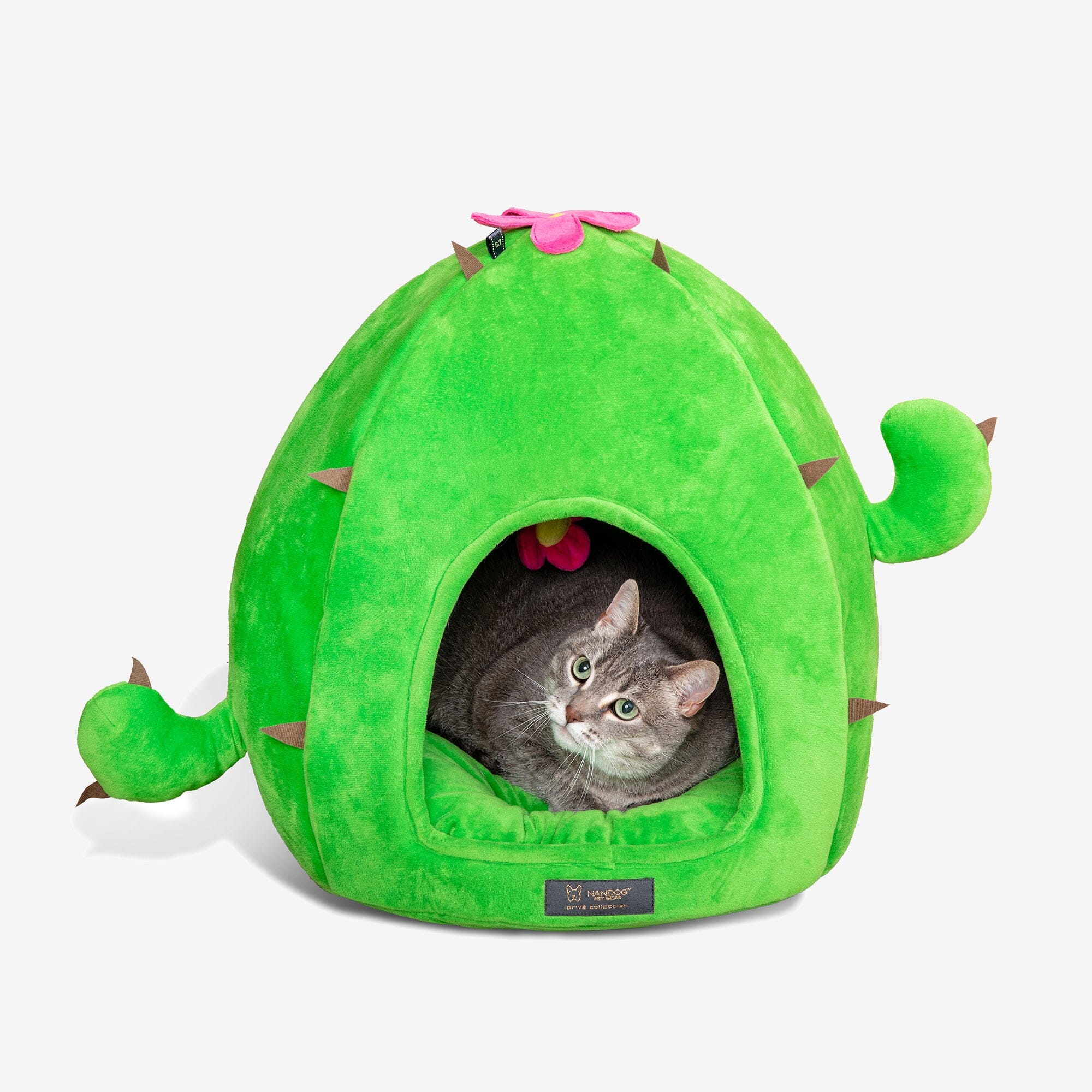 Cat store cactus bed