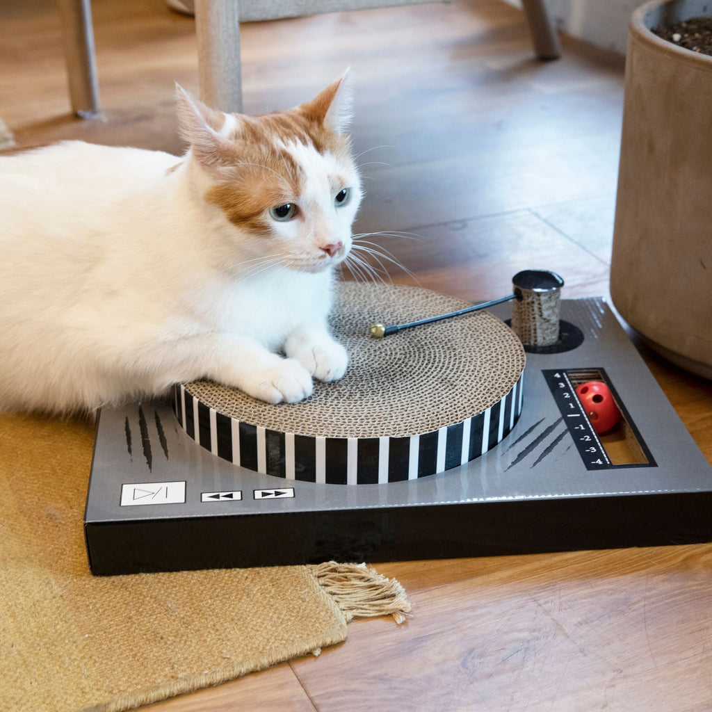 CAT SCRATCHER DJ TURN TABLE
