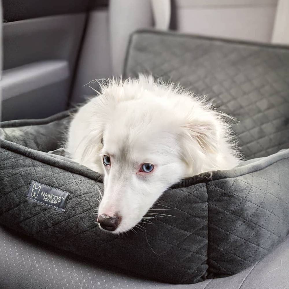 Car Seat – grand puppy