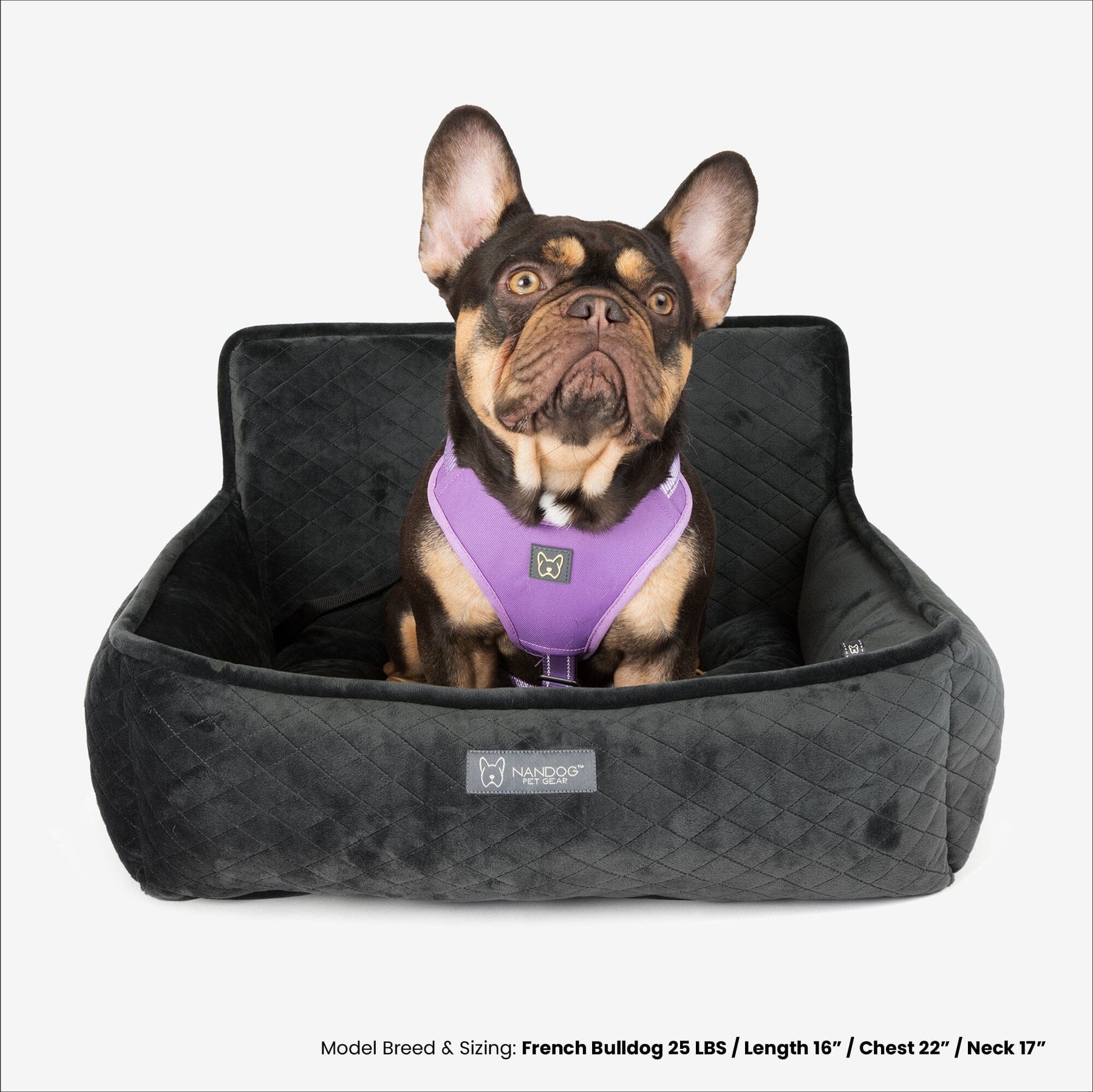 Dog Cat Beds, Car Seat, Toys - #1 Pet Store Nandog Pet Gear – Nandog Pet  Gear™