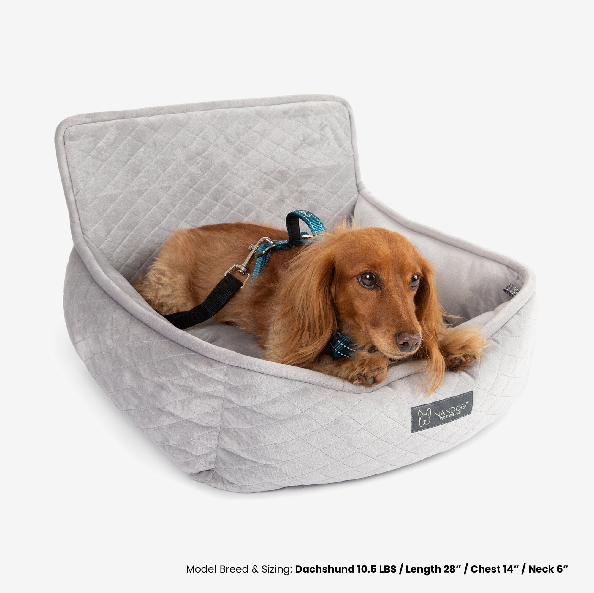Nandog store outlet