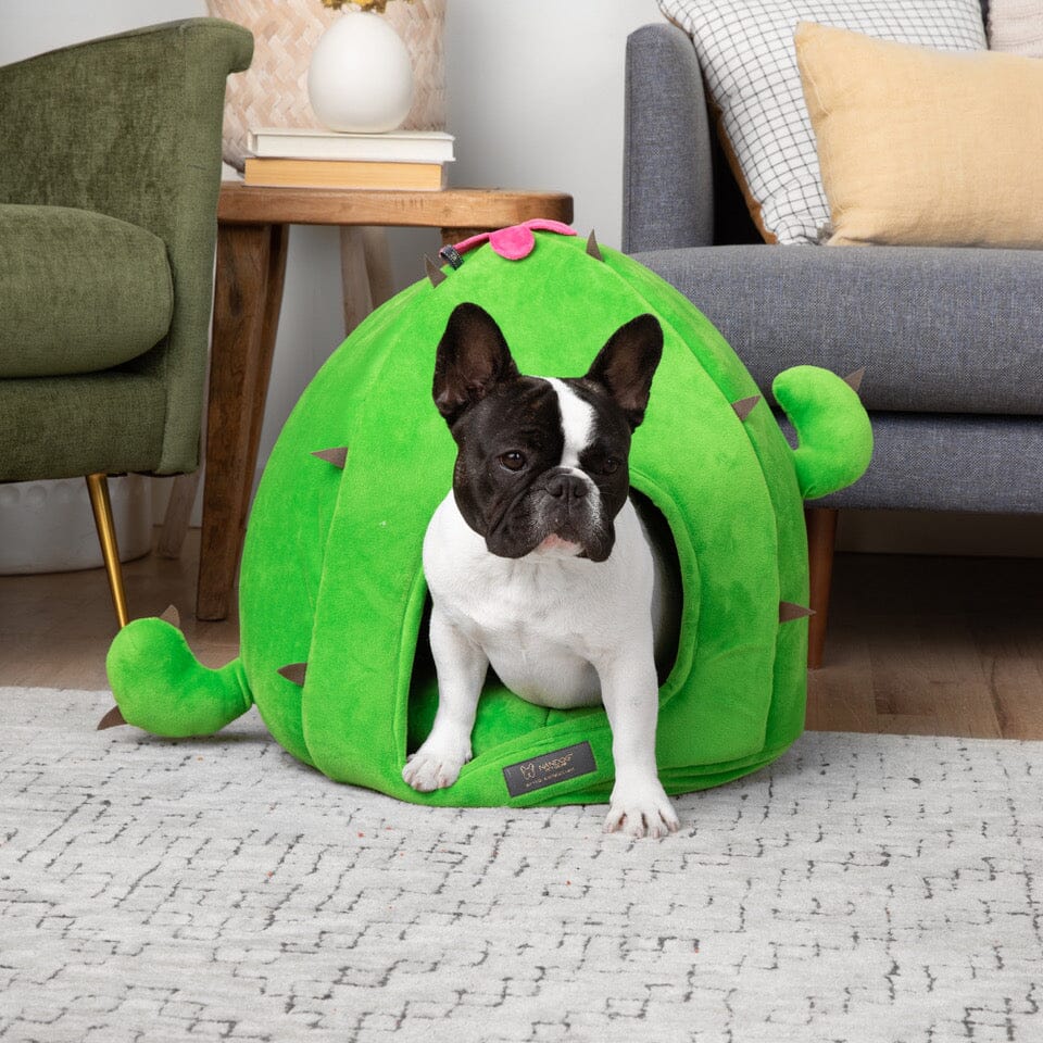 GREEN CACTUS SHAPE DOG AND CAT BED (LARGE)