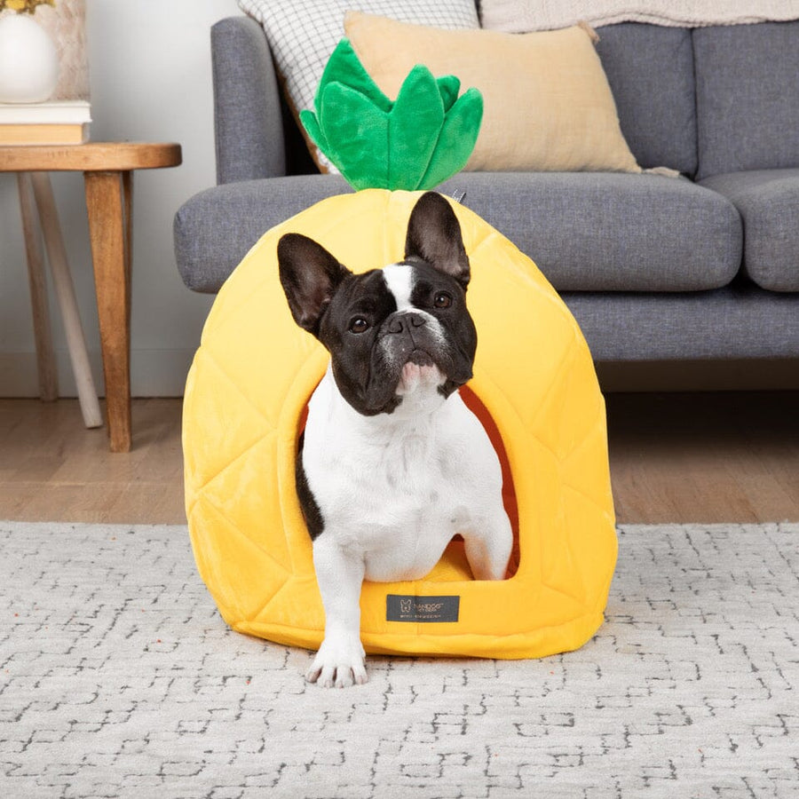Pineapple Shape Bed for Dog Cat Best Designer Dog Bed Nandog Pet Gear