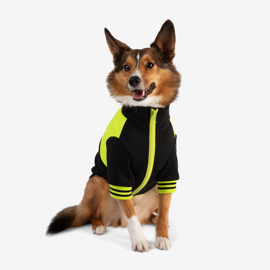 Nandog Sport Jacket Collection