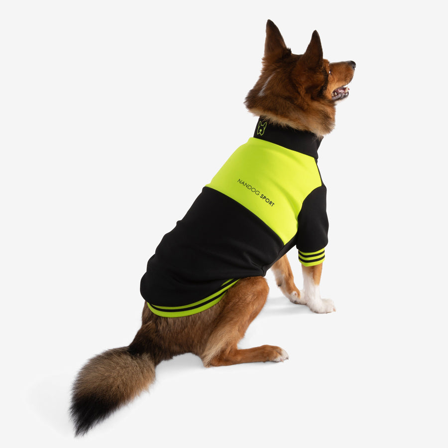 Dog Sport Jacket – Nandog Pet Gear™