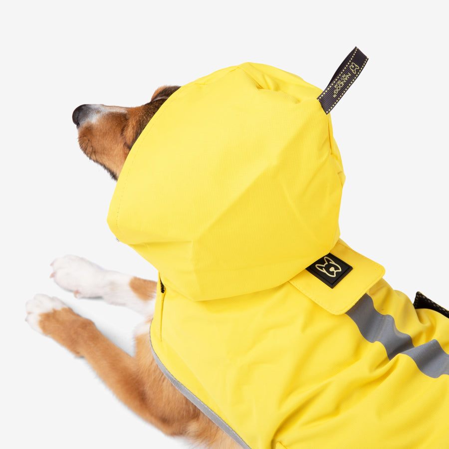 Dog Rain Coat Nandog Sport Collection – Nandog Pet Gear™