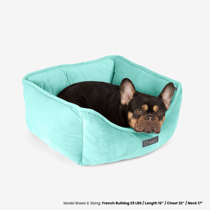 Reversible Dog & Cat Bed Signature Collection in Light Aqua