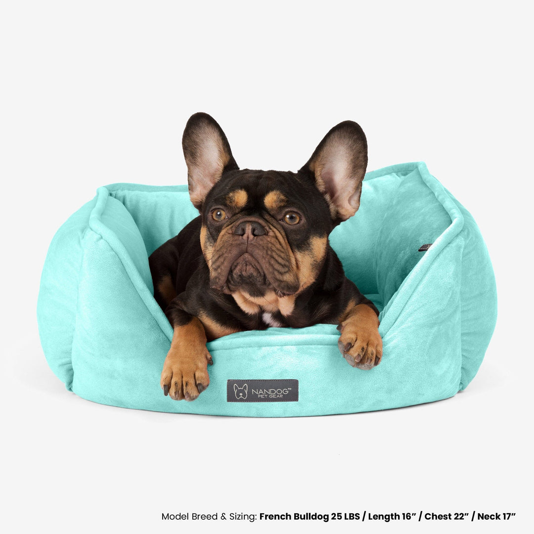 Reversible Dog & Cat Bed Signature Collection in Light Aqua